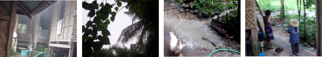 Images of tropical rain