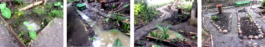 Imags of drainage in tropical backyard after rain in the
        night