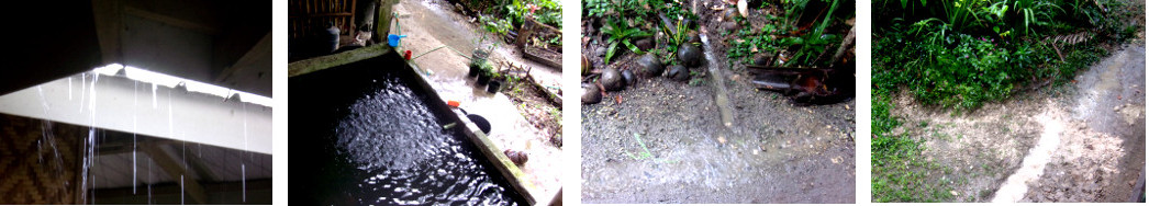 Images of rain testing tropical backyard drainage