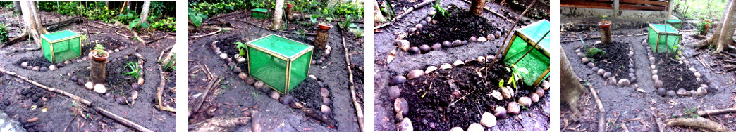 Images of drainage ditches filled with coconut husks to
        improve drainage in tropical backyardca