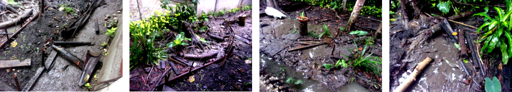 Images of tropical backyard pathboundaries destroyed
            by flood water