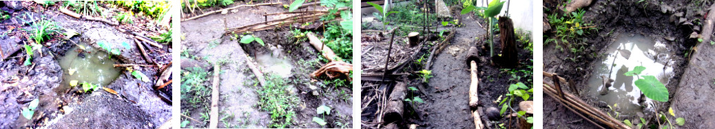 Images of subsudung flood water in tropical backyard