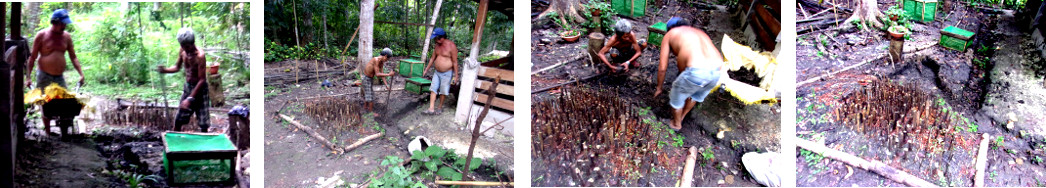 Images of digging a rain garden as protection against
        flooding in atropical backyard