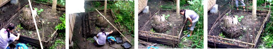 Images of woman preparing a tropical backyard garden
            patch for planting