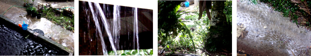 Images of tropical rain and sun