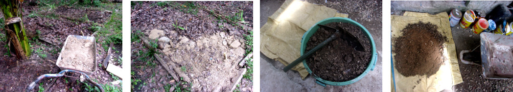 Images of soil from a bin being put
        o9n tropical backyard garden patches