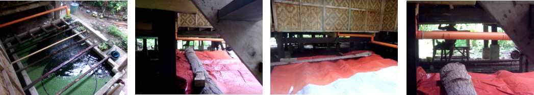 Images of people painting under a
        tropical wooden house to help protect it from termites