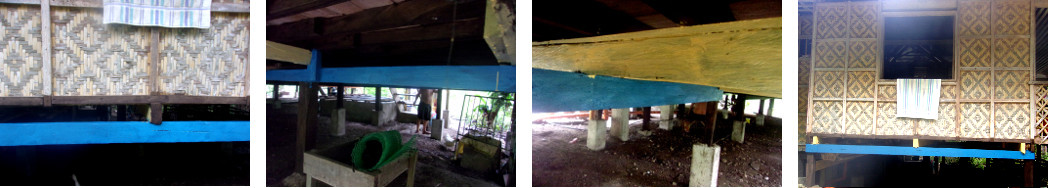 Images of people painting under a
        tropical wooden house to help protect it from termites