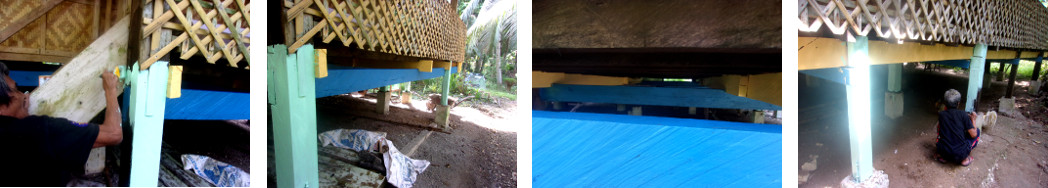 Images of tropical wooden house being
        painted as defence against termites