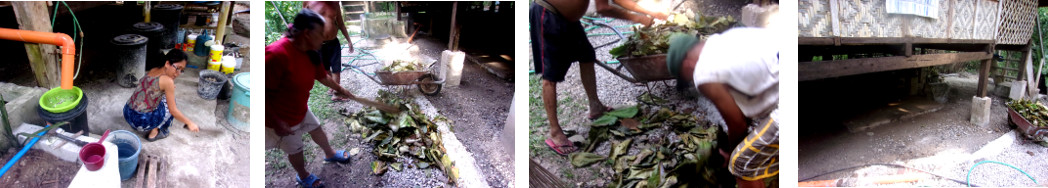 Images of mess under tropical house being cleaned up