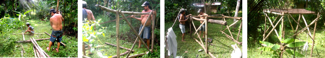 Images of building a frame for
        climbing plants in a tropical backyard