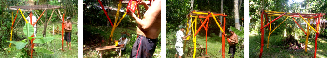 Images of tropical backyard vine
        climbibg frame being painted