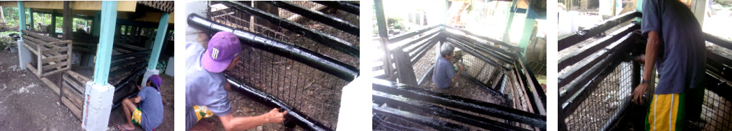 Image of main painting coal tar to
        protect small piglet pen under tropicalhouse