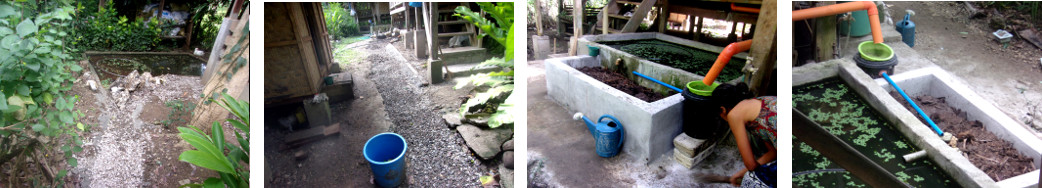 Images of tropical backyard drainage
        systems