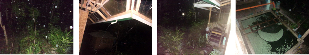 Images of rain in the night in
        tropical backyard