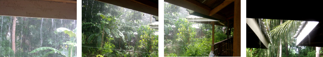 Omages of rain and sun in tropical backyard