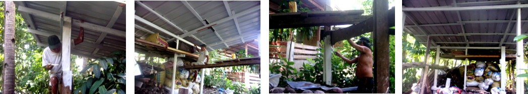 Images of tropical backyard woodshed
        being painted
