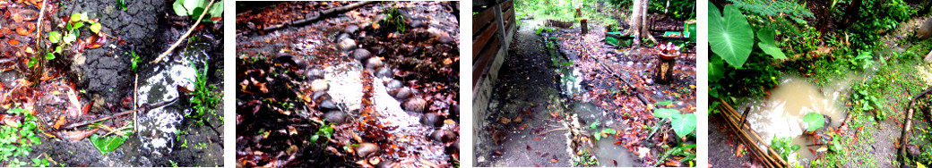 Image of drainage in tropical backyard
        just after heavy rain