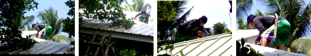 Images of man repairing a leak in
        tropical house roof