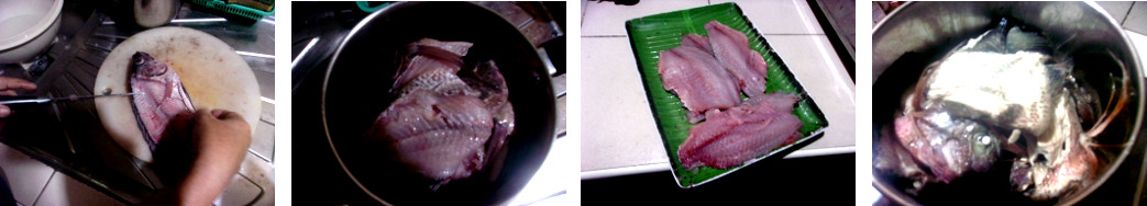 Images of tropical backyard fish being
        prepared for dinner