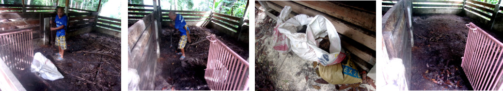 Images of Gathering Soil and Compost
        from the Empty tropical backyard Pig Pens
