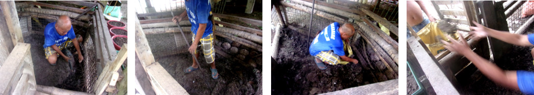 Images of Gathering Soil and Compost from the Empty
        tropical backyard Pig Pens