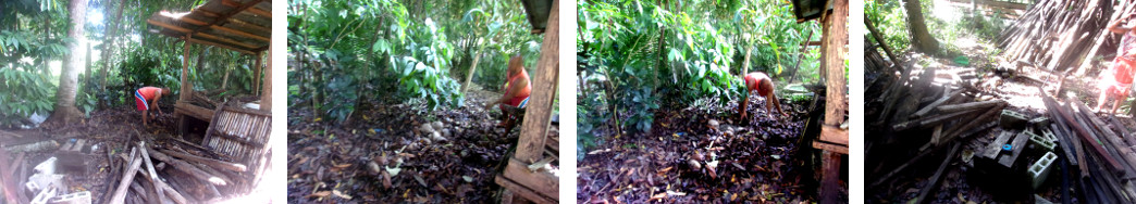 Images of clearing a site in tropical
        backyard for a new woodshed