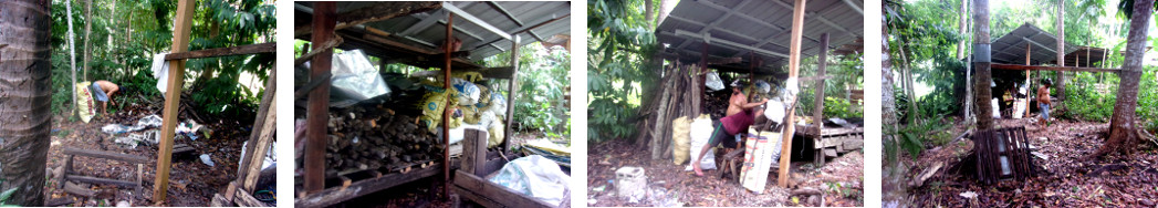 Images of part of tropical backyard being
            cleaned up