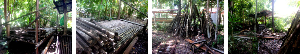 Images of building a new tropical
        backyard woodshed