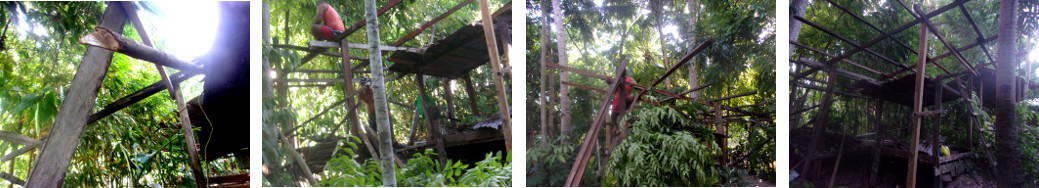 Images of building a new tropical backyard woodshed