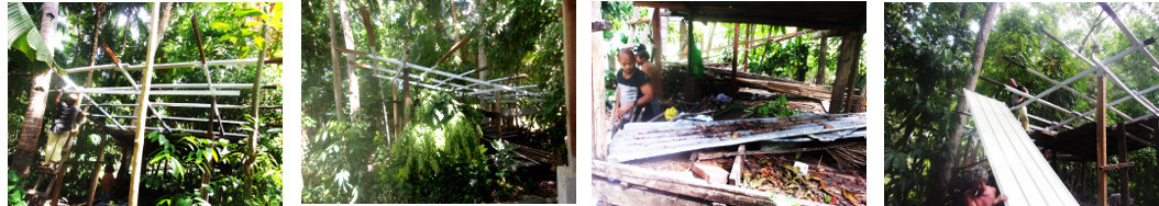 Images of building a new tropical backyard woodshed