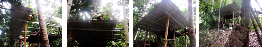 Images of building a new tropical backyard woodshed