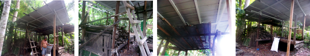 Images of building a new tropical backyard woodshed