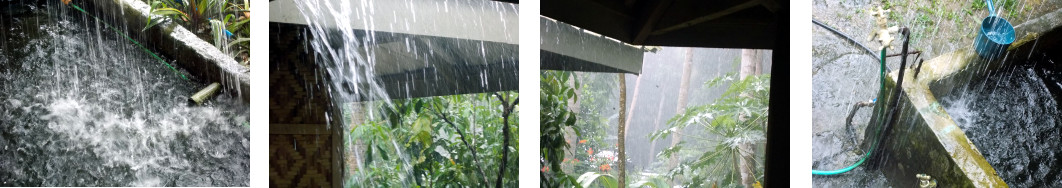 Images of rain in tropical
            backyard