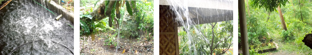 Images of heavy rain in tropical
        backyard