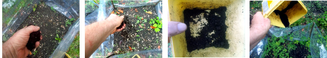Images mof a mixture of seeds and compost being
        broadacast in protectected areas in tropical backyard