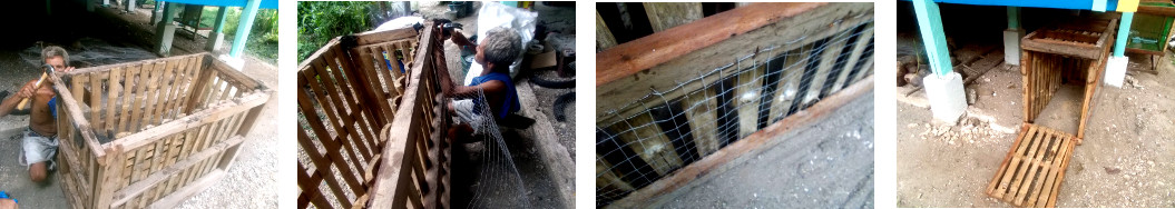 Images of crate being modified for use
        as Chicken coop in tropical backyard