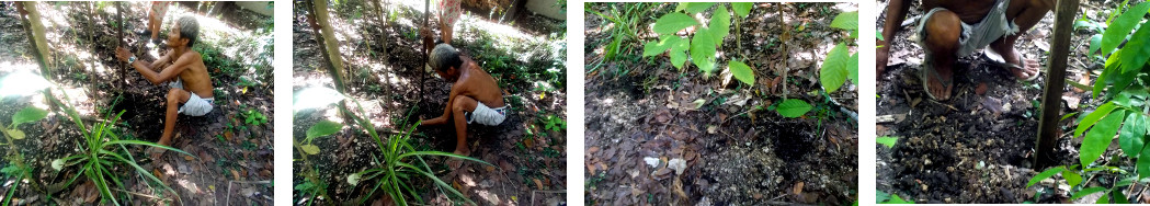 Imagws of man digging holes to make a fence