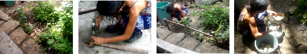 Images of woman working on a garden
        patch