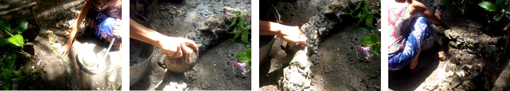 Images of woman building a small wall in tropical
        backyard garden patch