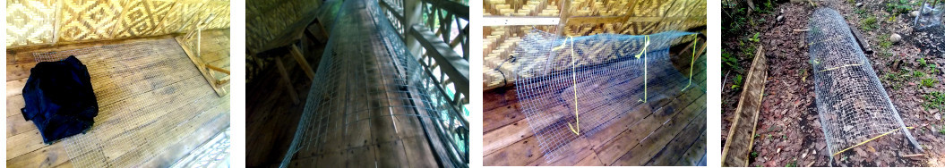 Images of wire mesh being bent to make
        anti-chicken garden frame
