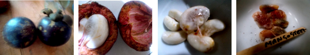 Images of Mangosteen fruit and seeds