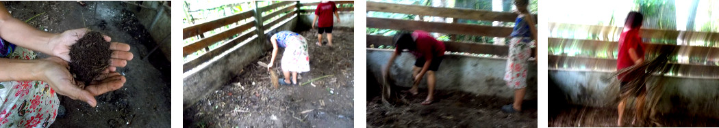 Images of omen cleaning up a tropical backyard pig pen
        after use