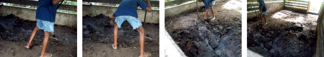 Images of soil in tropical
            backyard pig pen being leveled off