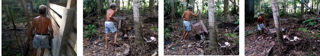 Images of compost from pig pen being
        dumped in the garden