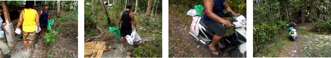 Imges of tropical backyard piglets leaving with new
        owner