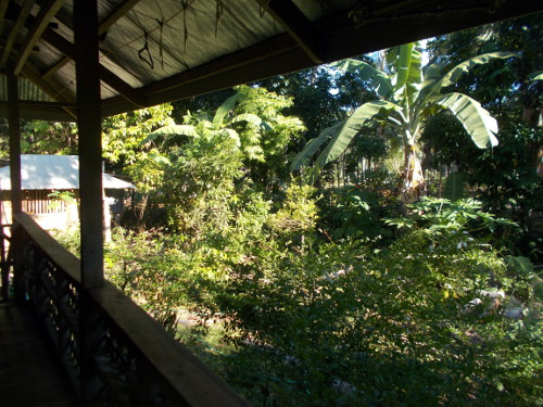 Image of April in tropical house and
        garden