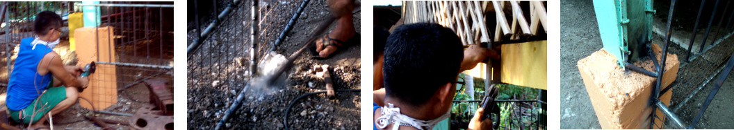 Images of construction of animal holding pen under
        tropical house