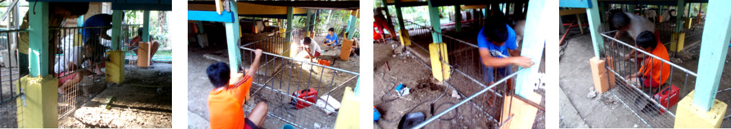 Images of tropica;l backyard animal holding pen being
        installed under the house