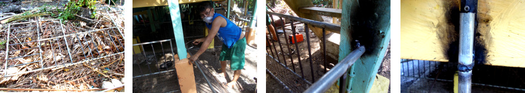 Images of holding pen being installed under tropical
        house
